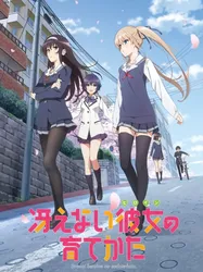 Saekano: Phương pháp đào tạo bạn gái (Saekano: Phương pháp đào tạo bạn gái) [2015]