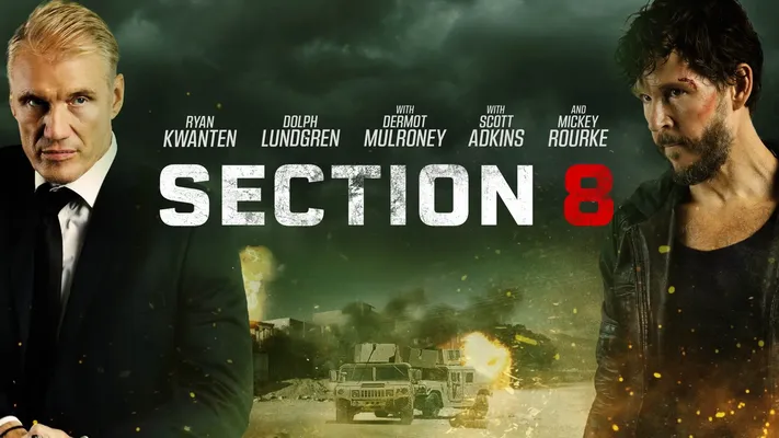 Section 8