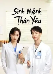 Sinh Mệnh Thân Yêu (Sinh Mệnh Thân Yêu) [2022]